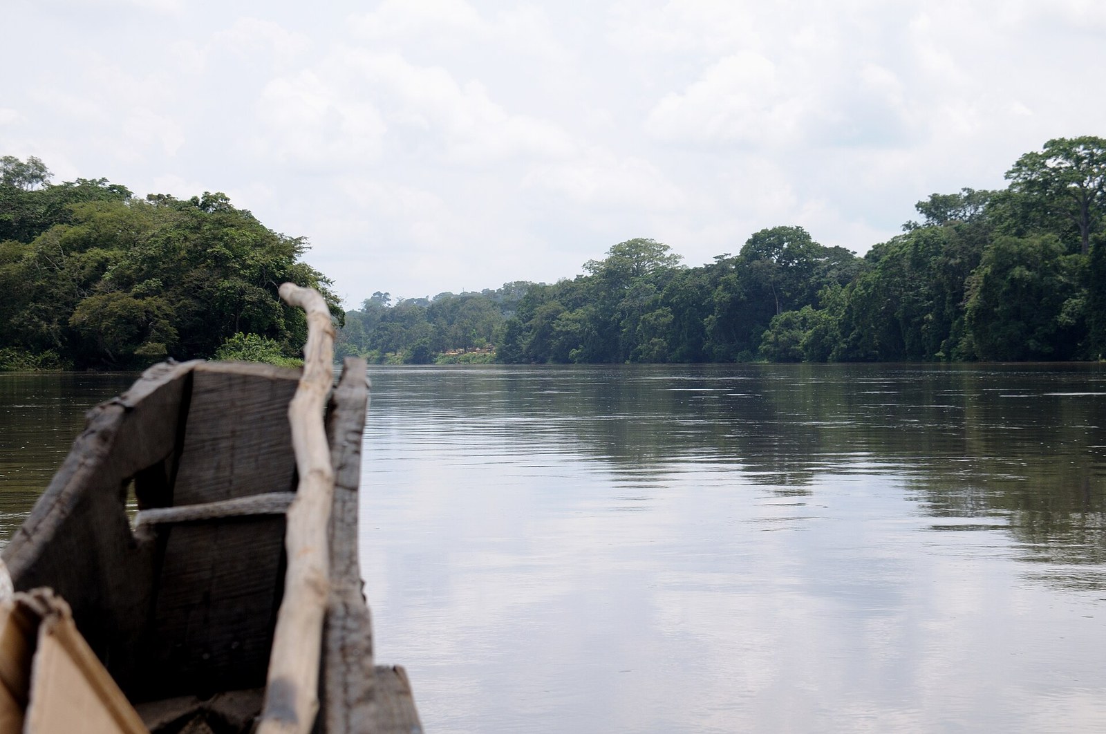 Sangha River in Sangha Trinational