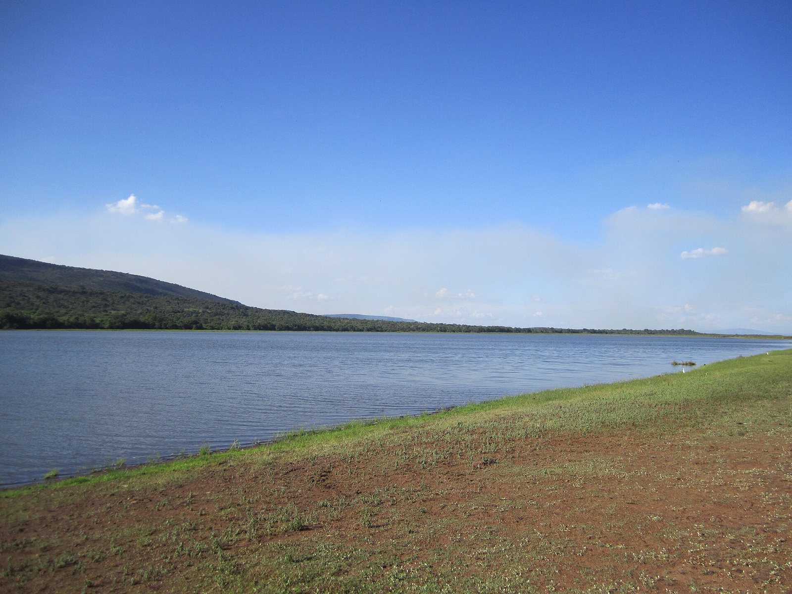 Lake in Akagera National Park