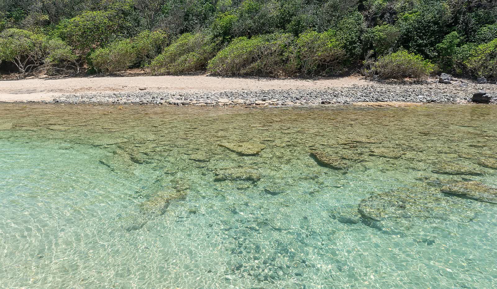 Plage de l'Anse du Vieux Fort (19)