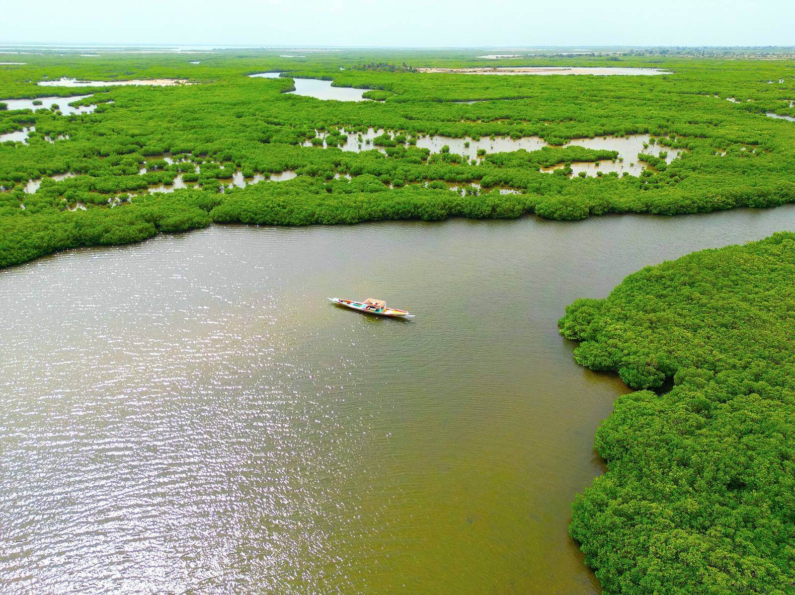 L'un des plus beaux paysage du Sénégal, Sine Saloum 05