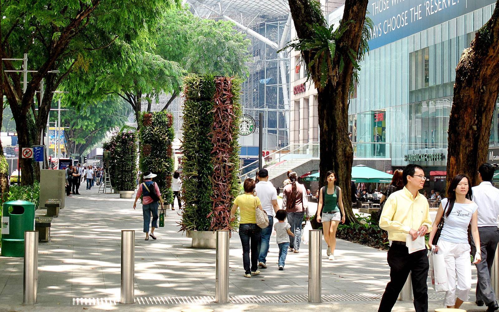 New Orchard Road Flower Zone