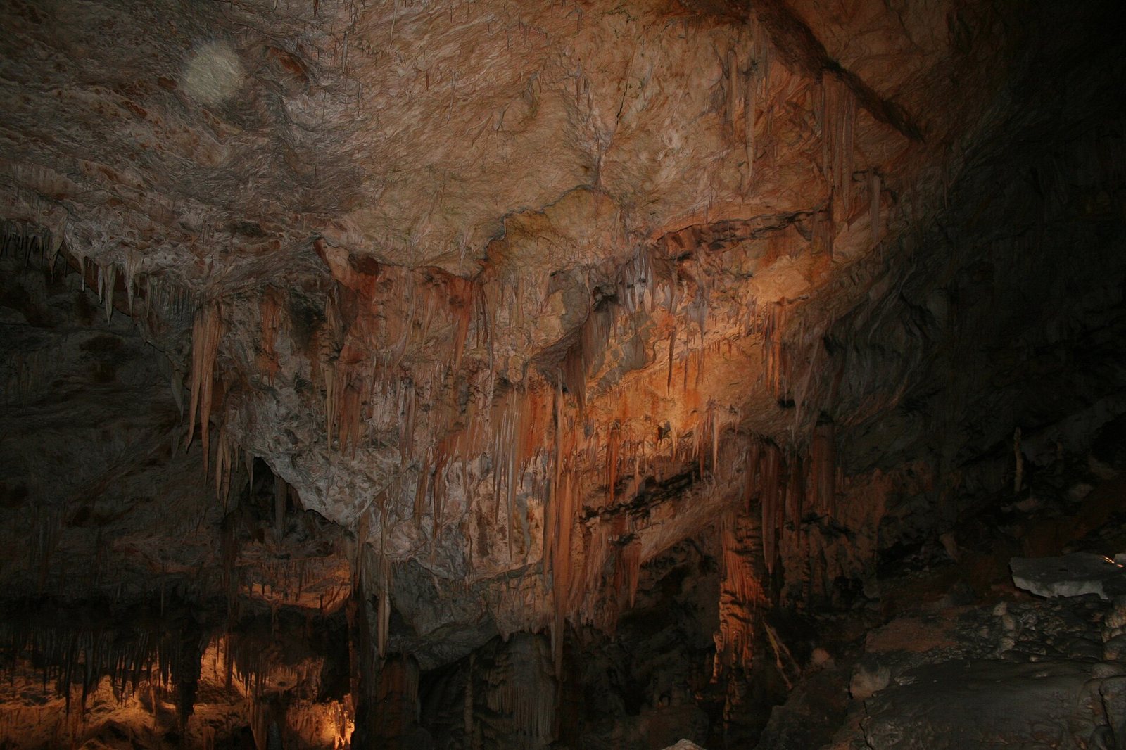 Postojna Caves - Stalactites (1284298495)