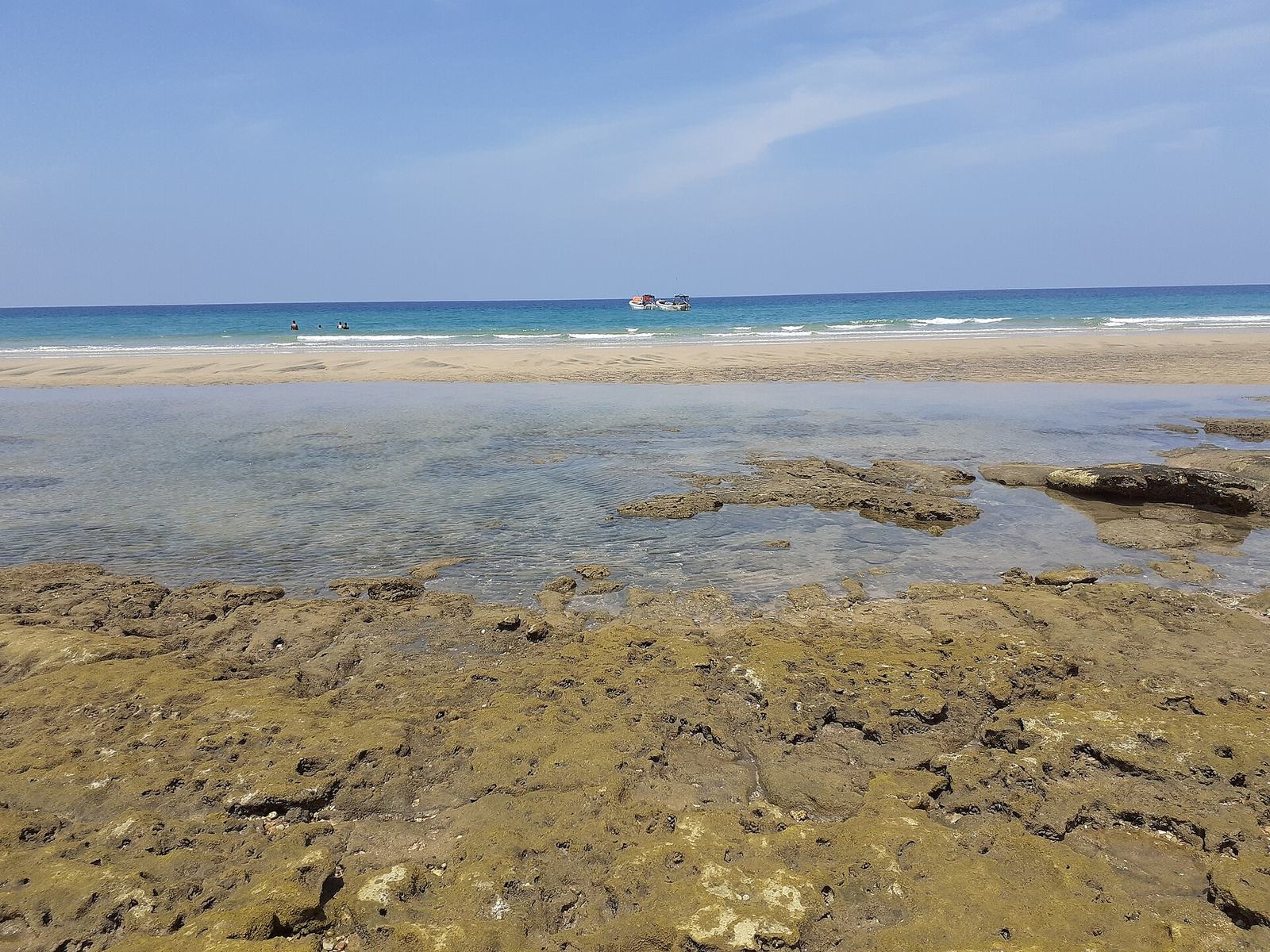 Coral refs in the of shore area in berbera somalia