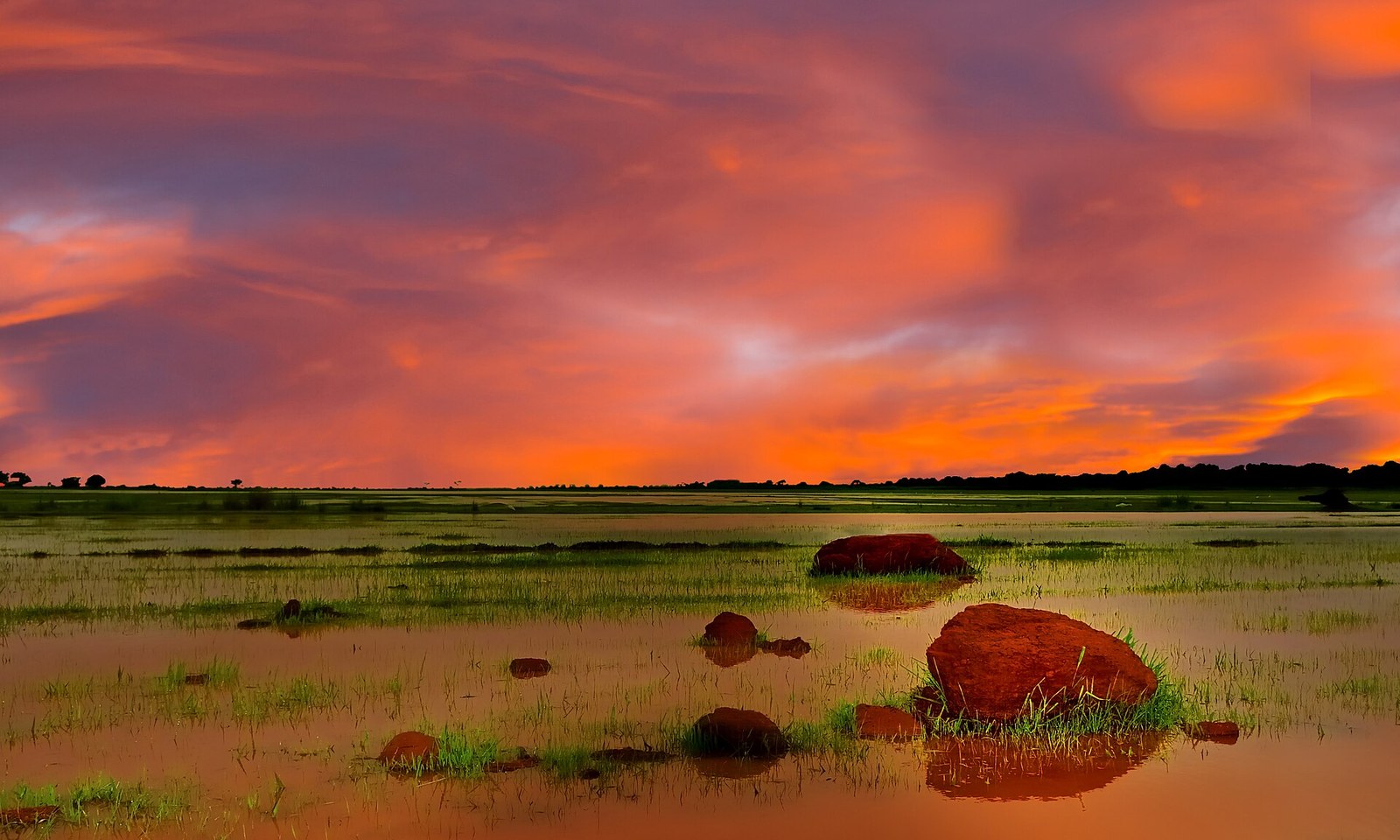 Under an African Sky - panoramio