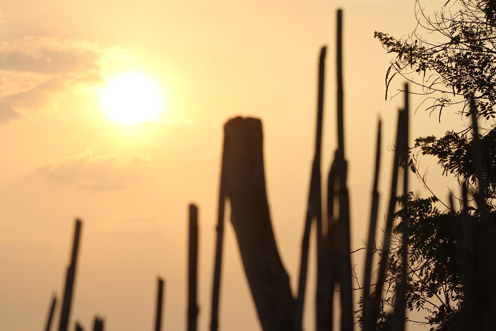 South Sudan sunset, Nimule