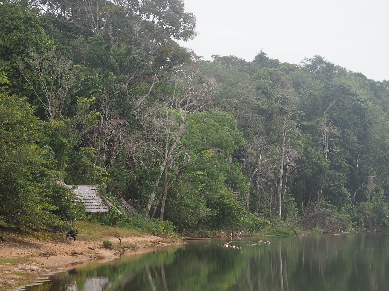 Suriname river near Babunhol