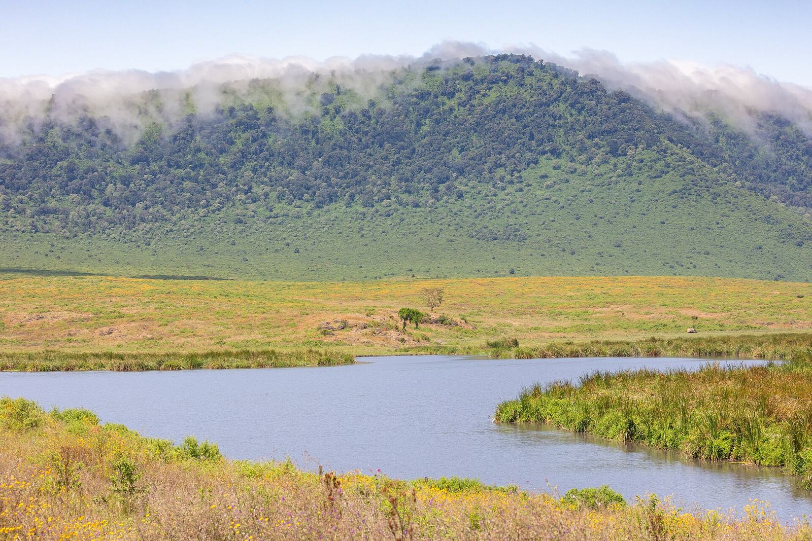 Paisaje en la zona de conservación de Ngorongoro, Tanzania, 2024-05-27, DD 56