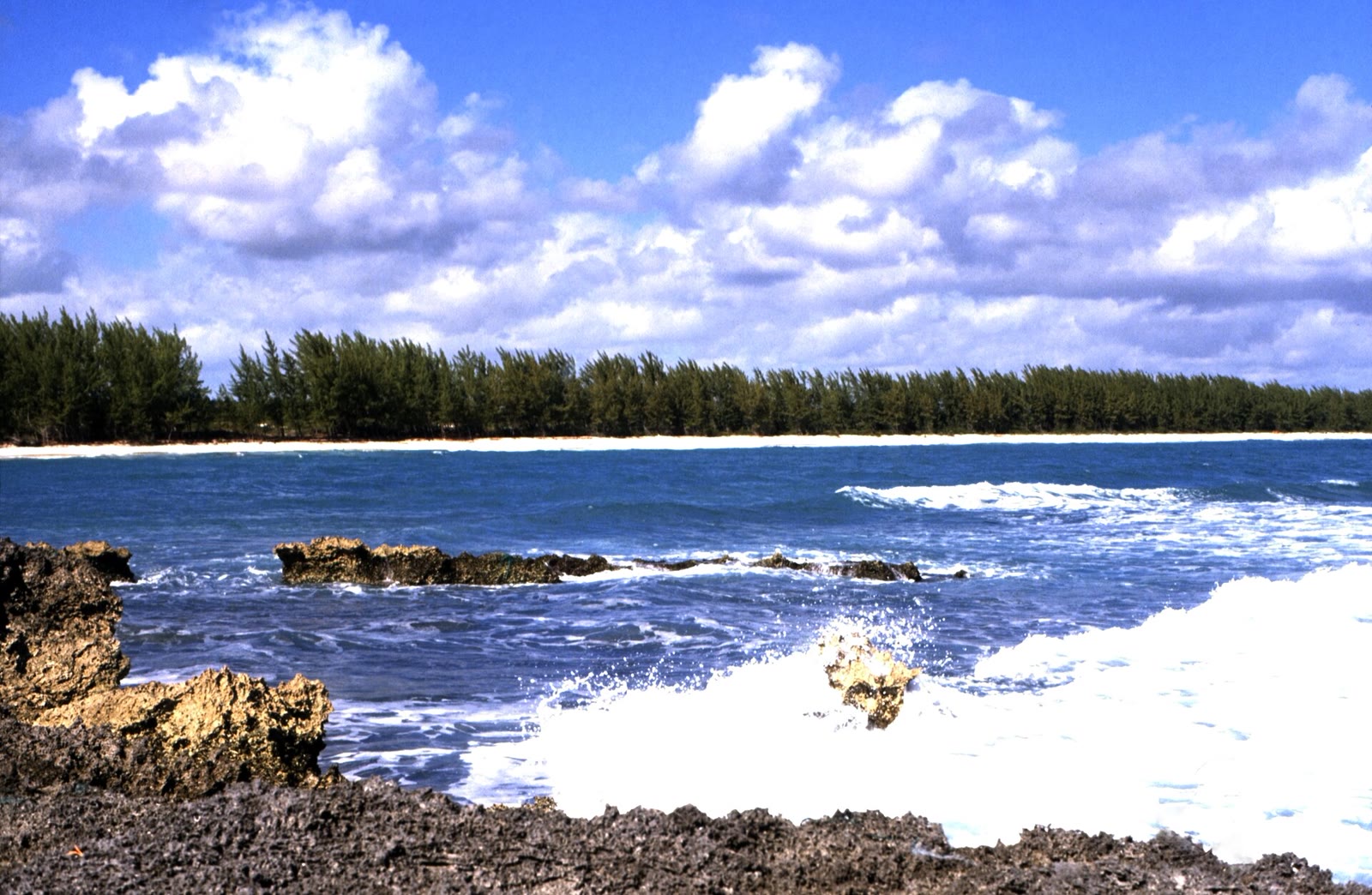 Bahamas 1989 (436) Great Abaco (24873453575)