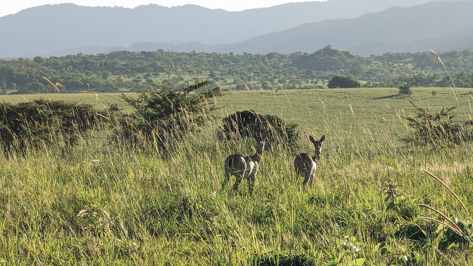 Kidepo Valley National Park 05