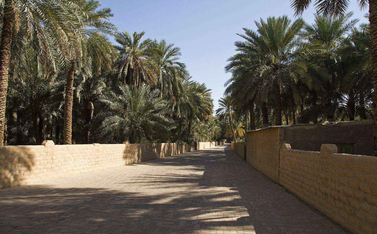 Al Ain Oasis, Al Mutawaa - Abu Dhabi - United Arab Emirates - panoramio