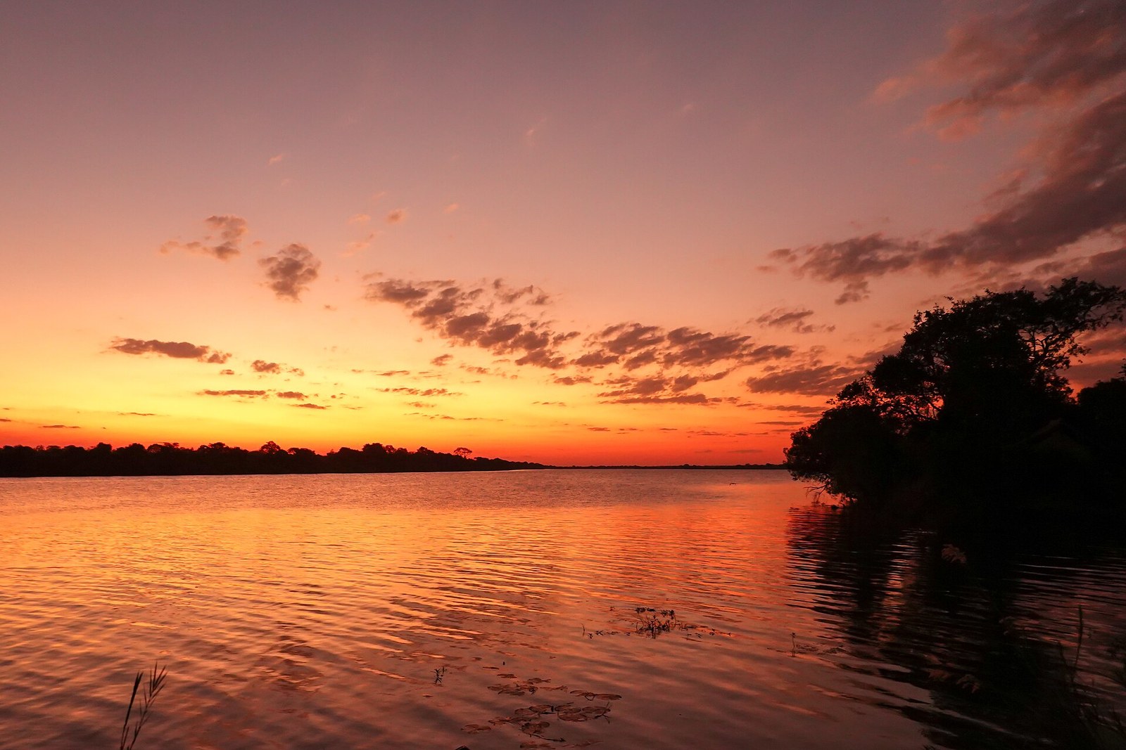 Sunset Kafue River Pinnon Lodge Zambia Jul23 R16 07348