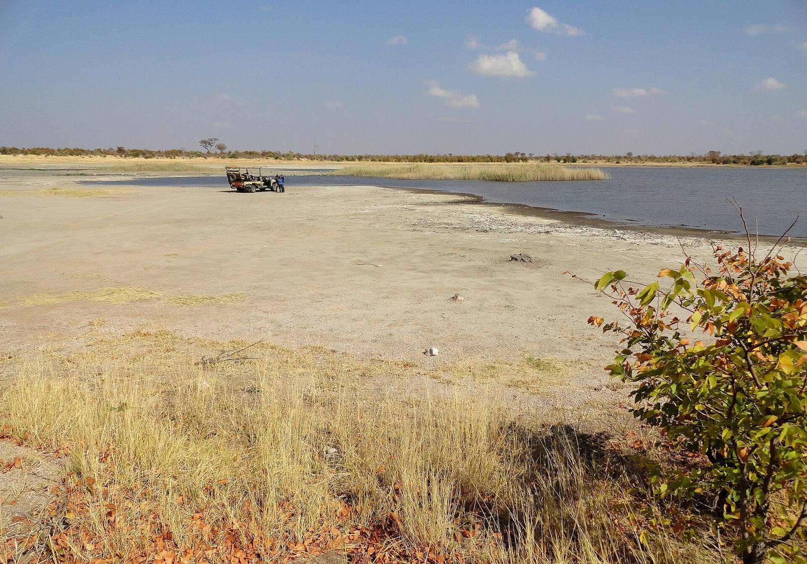 Hwange National Park, Zimbabwe (48595113747)