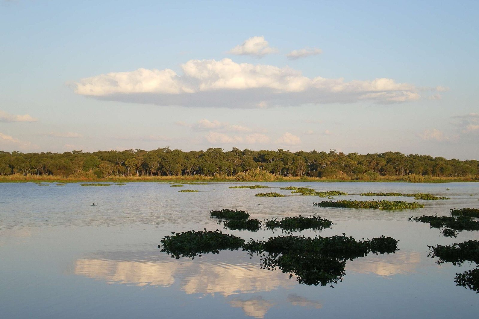 COSV - Zimbabwe 2011 - Lake Chivero