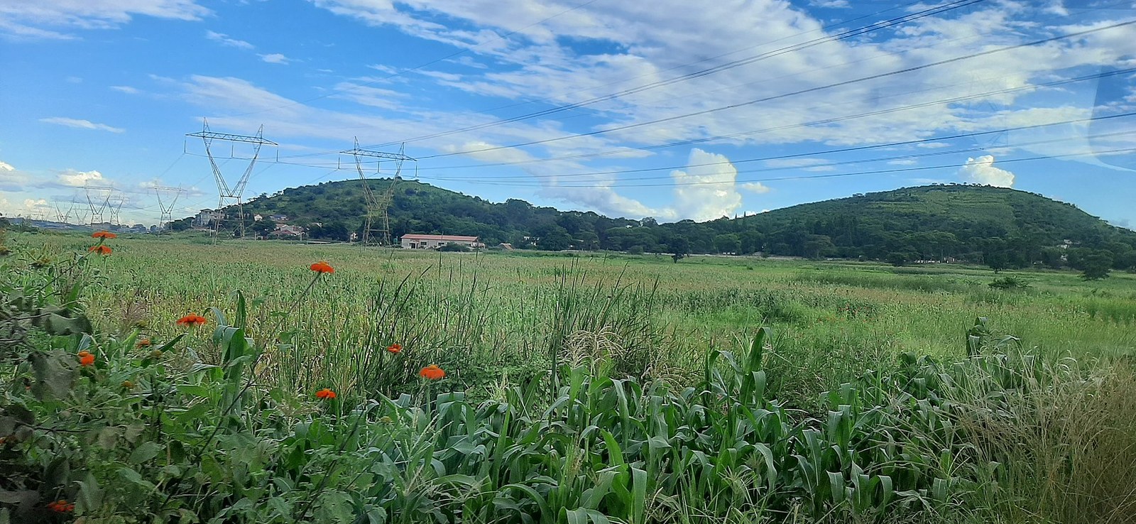 Zimbabwe in summer